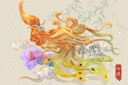 择吉老黄历皇历|老皇历查询|择吉老皇历
